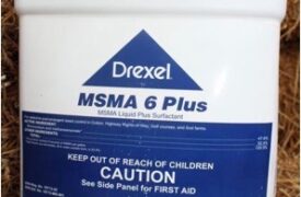 MSMA 6 Plus