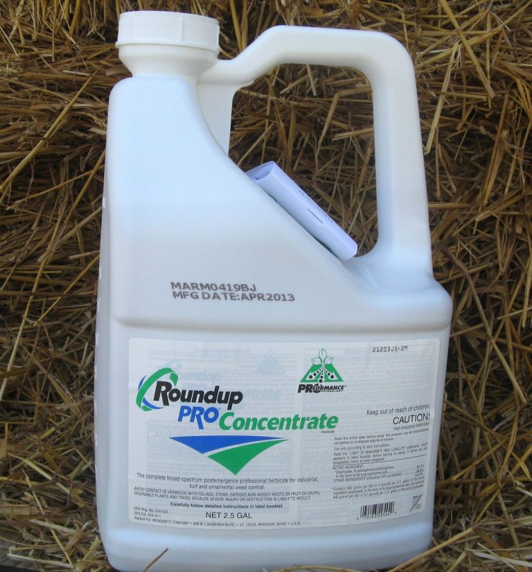 Roundup Pro Concentrate Stone Brothers