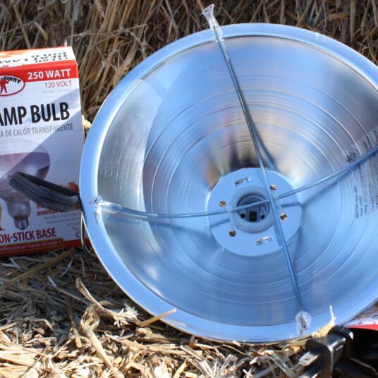 Brooder Lamp and bulb Stone Brothers