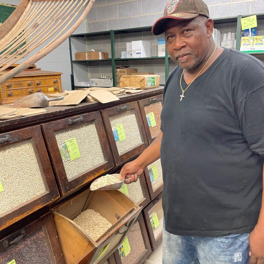 Fordhook Bush Lima Bean Stone Brothers