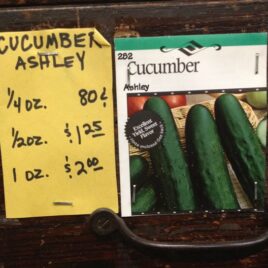 Poisett Cucumber