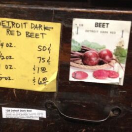 Detroit Red Beet