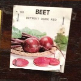 Detroit Red Beet