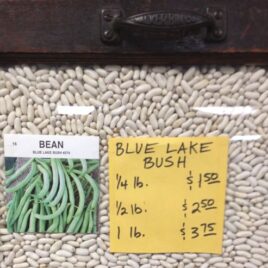Blue Lake Bush