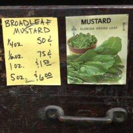 Florida Broadleaf Mustard