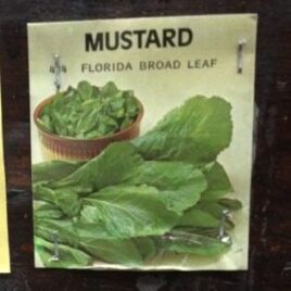 Florida Broadleaf Mustard