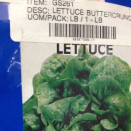 Buttercrunch Lettuce
