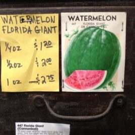 Florida Giant Watermelon