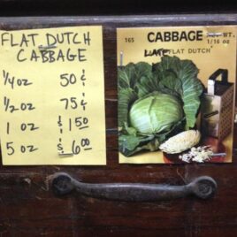 Flat Dutch Cabbage