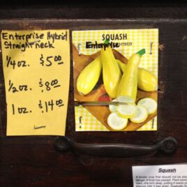 Enterprise Hybrid Squash