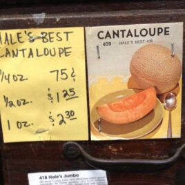 Hale’s Best Cantaloupe