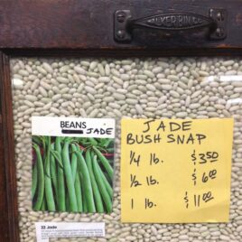 Jade Bush Bean