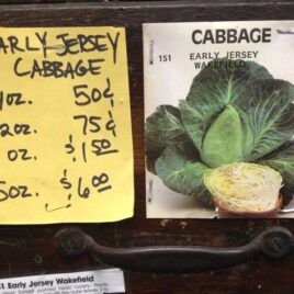 Early Jersey Cabbage
