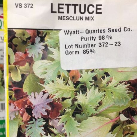 mesclun mix