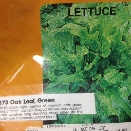 oak leaf lettuce