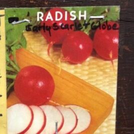 Radish