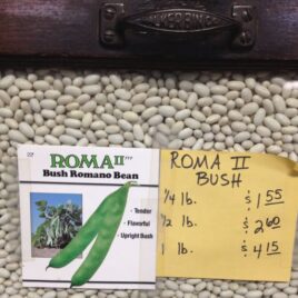 Roma II Bush Bean