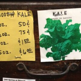 Smooth Kale