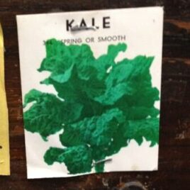 Smooth Kale