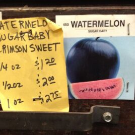 Sugar Baby Watermelon