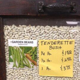 Tenderette Bush Bean