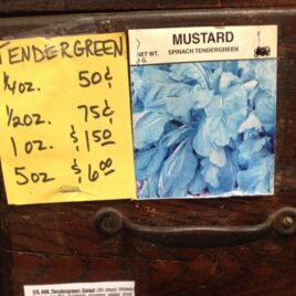 Tendergreen Mustard