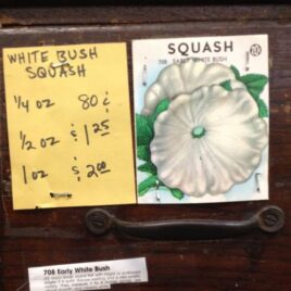 White Bush Squash