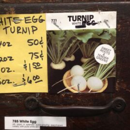 White Egg Turnip