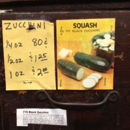 Black Zucchini Squash