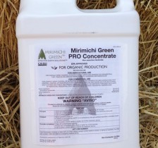 Mirimichi Green Pro Concentrate Stone Brothers
