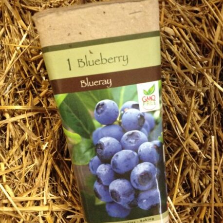 blueray blueberry