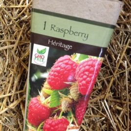 Heritage Raspberry