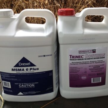 MSMA and Southern Trimec Combo