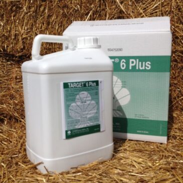 MSMA 6 Plus 2.5 gallons