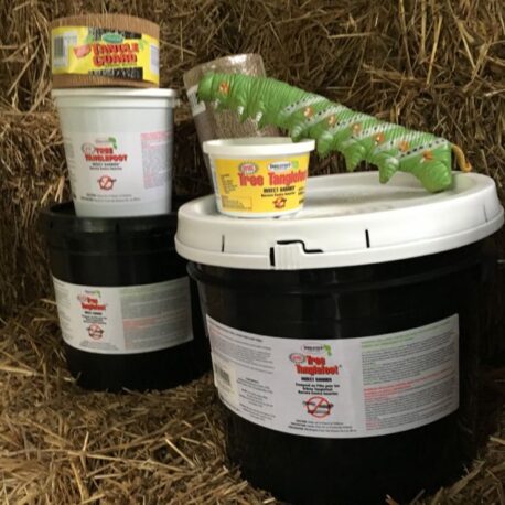 Tanglefoot supplies for cankerworm banding