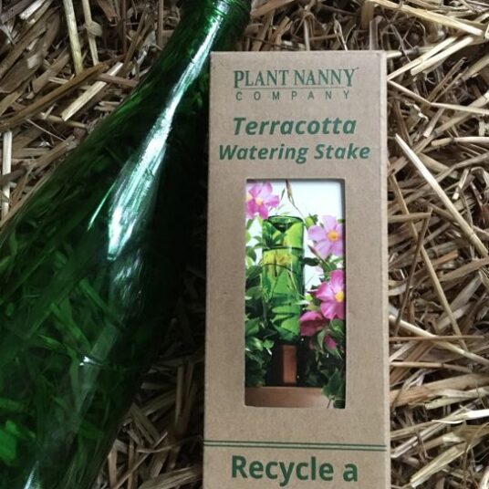 Plant Nanny Terracotta Watering Stake Stone Brothers