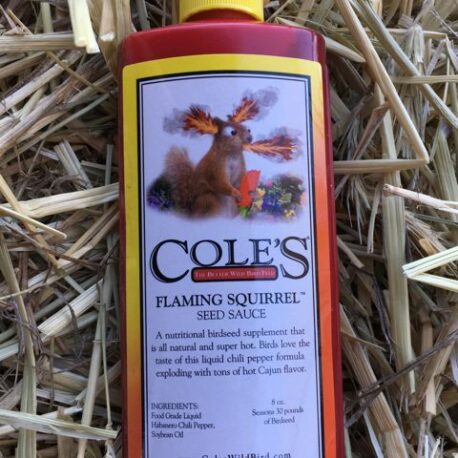 flaming squirrel