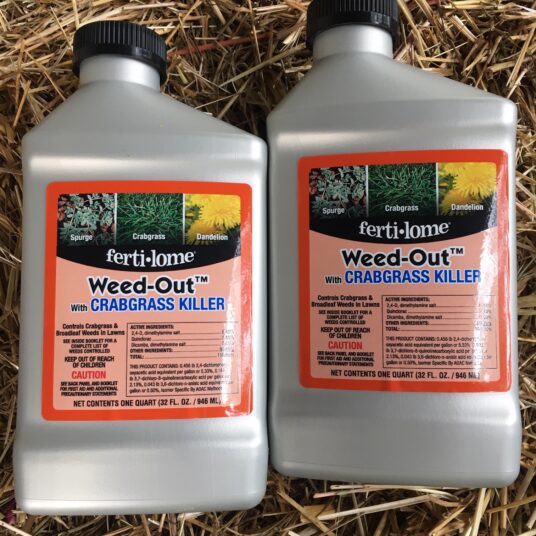 Weed Out with Quinclorac Stone Brothers