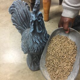 50 lbs Laying Pellets