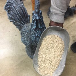 50 lbs Laying Crumble