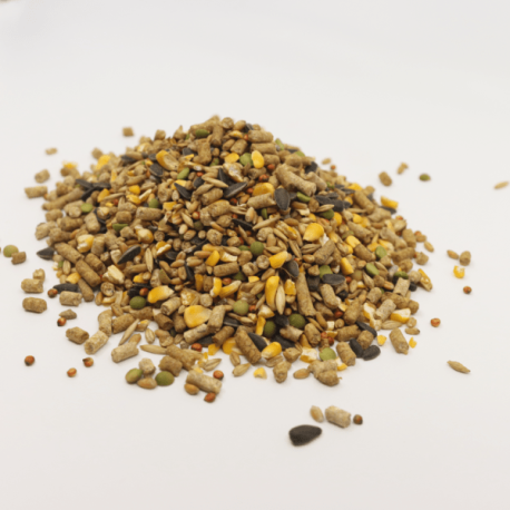 Whole-Grain-Layer