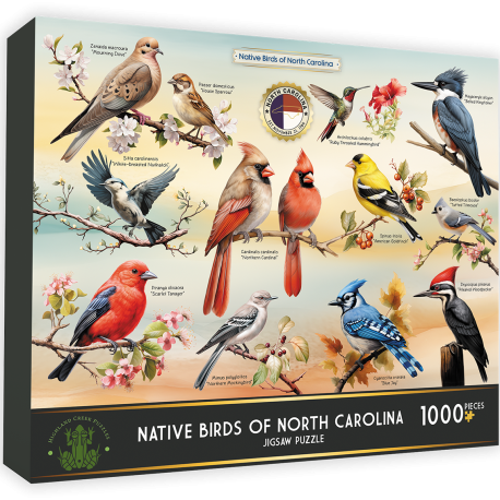 NC birds