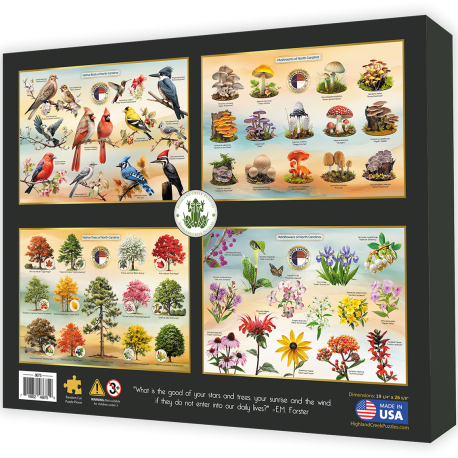 nc jigsaw set