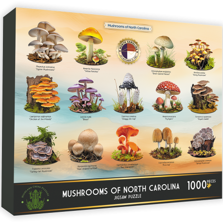 nc shrooms