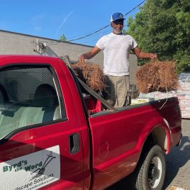 NC Pine Straw (delivered w/in Durham County)